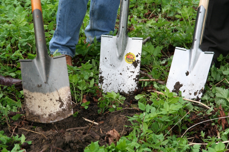 pepiniere-LE CANNET DES MAURES-min_work-lawn-flower-tool-green-backyard-1103633-pxhere.com